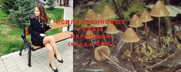 молекула духа Абинск