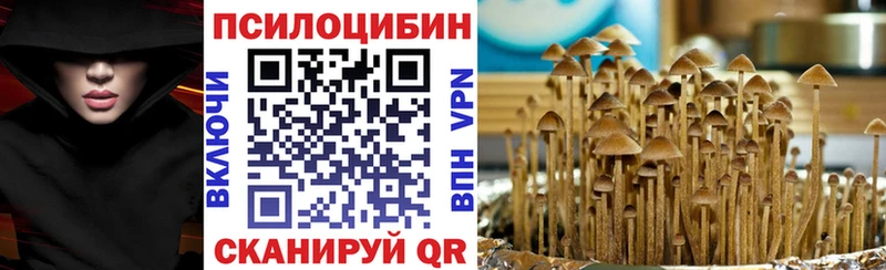 Галлюциногенные грибы ЛСД  купить наркотик  Фокино 